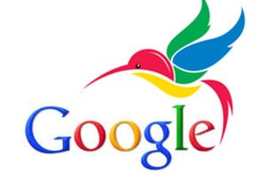 Google Hummingbird