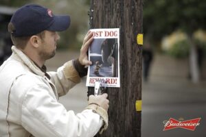 budweiser-lost-dog-notice