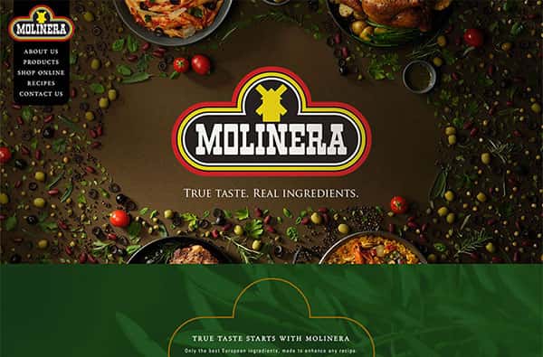 Web Design & Development Project - Molinera